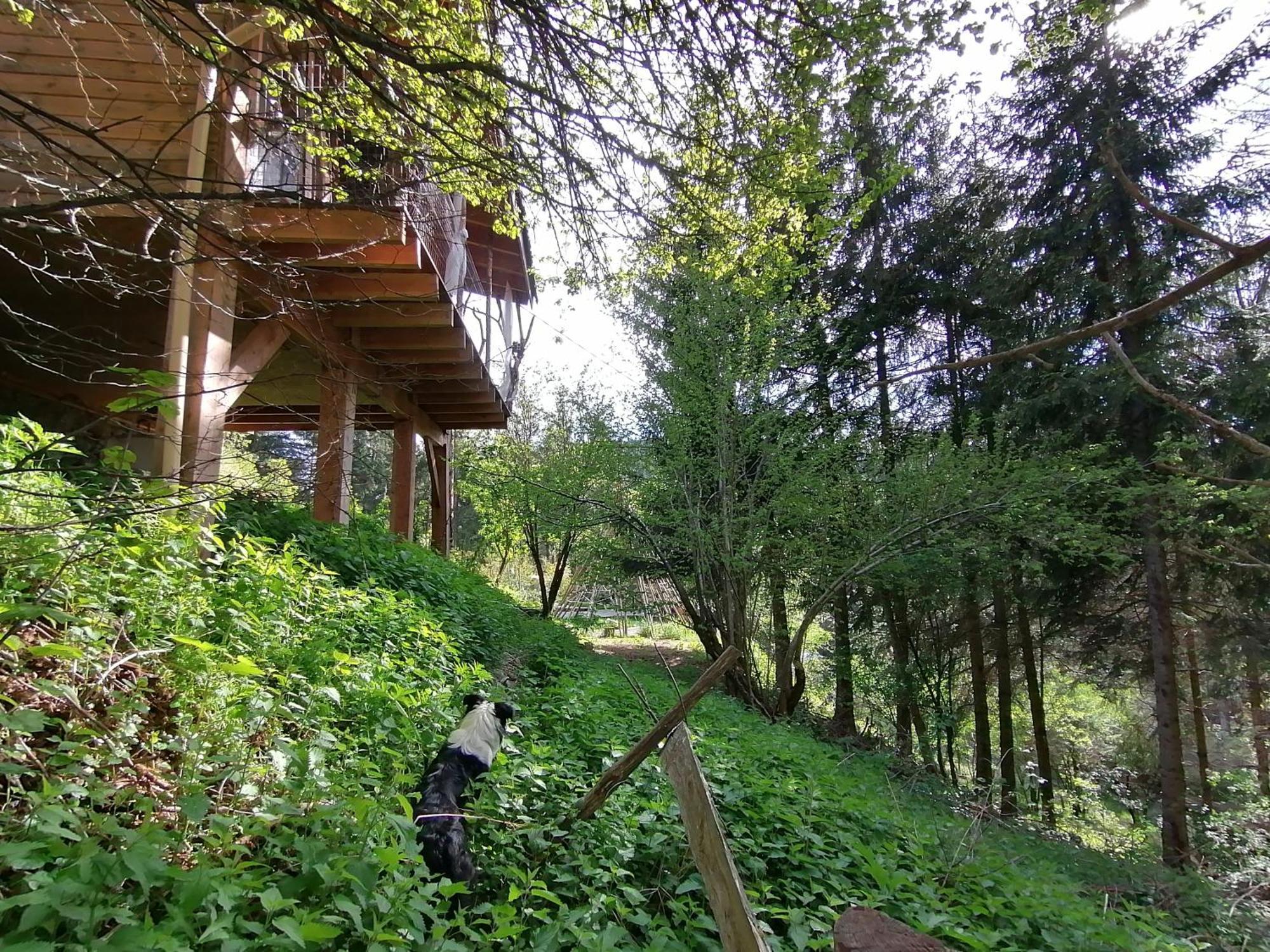 La Fortance Paradis Naturel - Proche De La Ville Planfoy Quarto foto