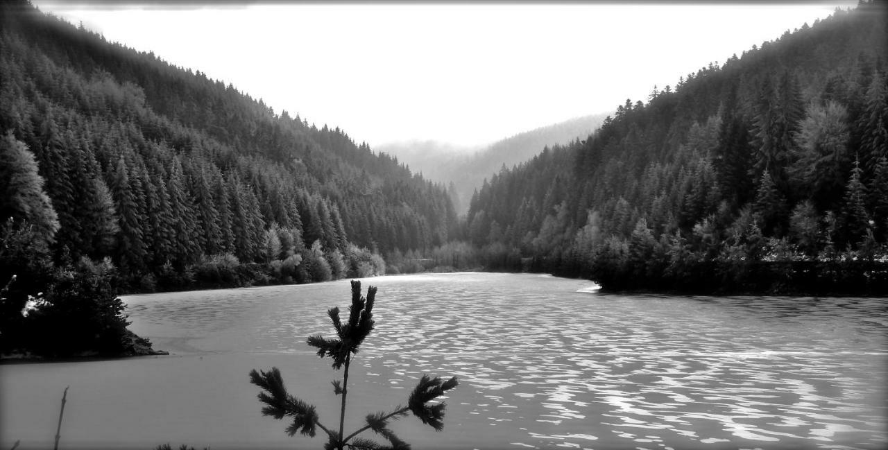 La Fortance Paradis Naturel - Proche De La Ville Planfoy Exterior foto